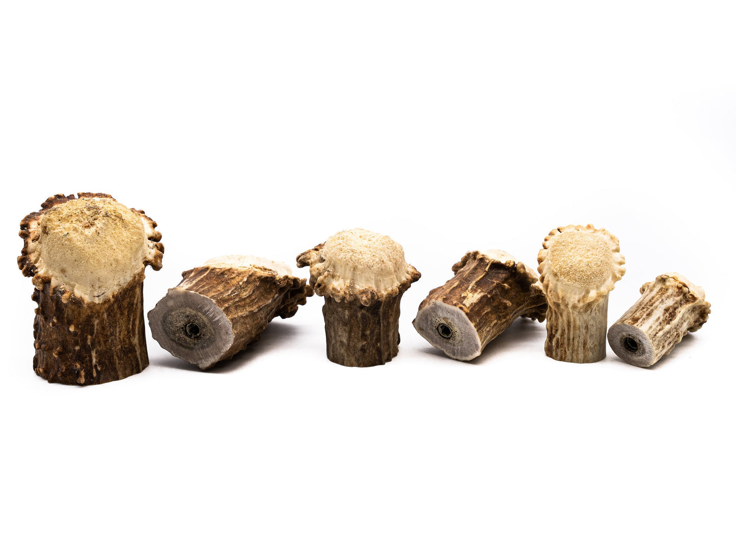 Natural Deer Antler Burr Cabinet Knob - Antler Cabinet Knobs - Antler Knobs - Antler Drawer Handles - Antler Knobs