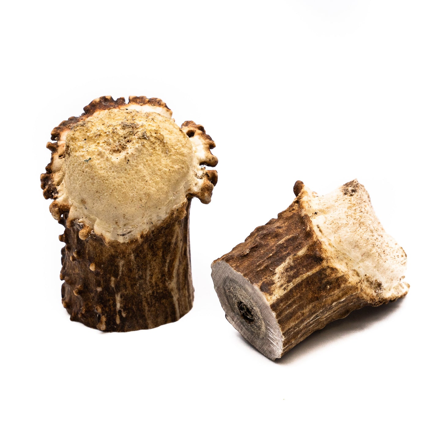 Natural Deer Antler Burr Cabinet Knob - Antler Cabinet Knobs - Antler Knobs - Antler Drawer Handles - Antler Knobs