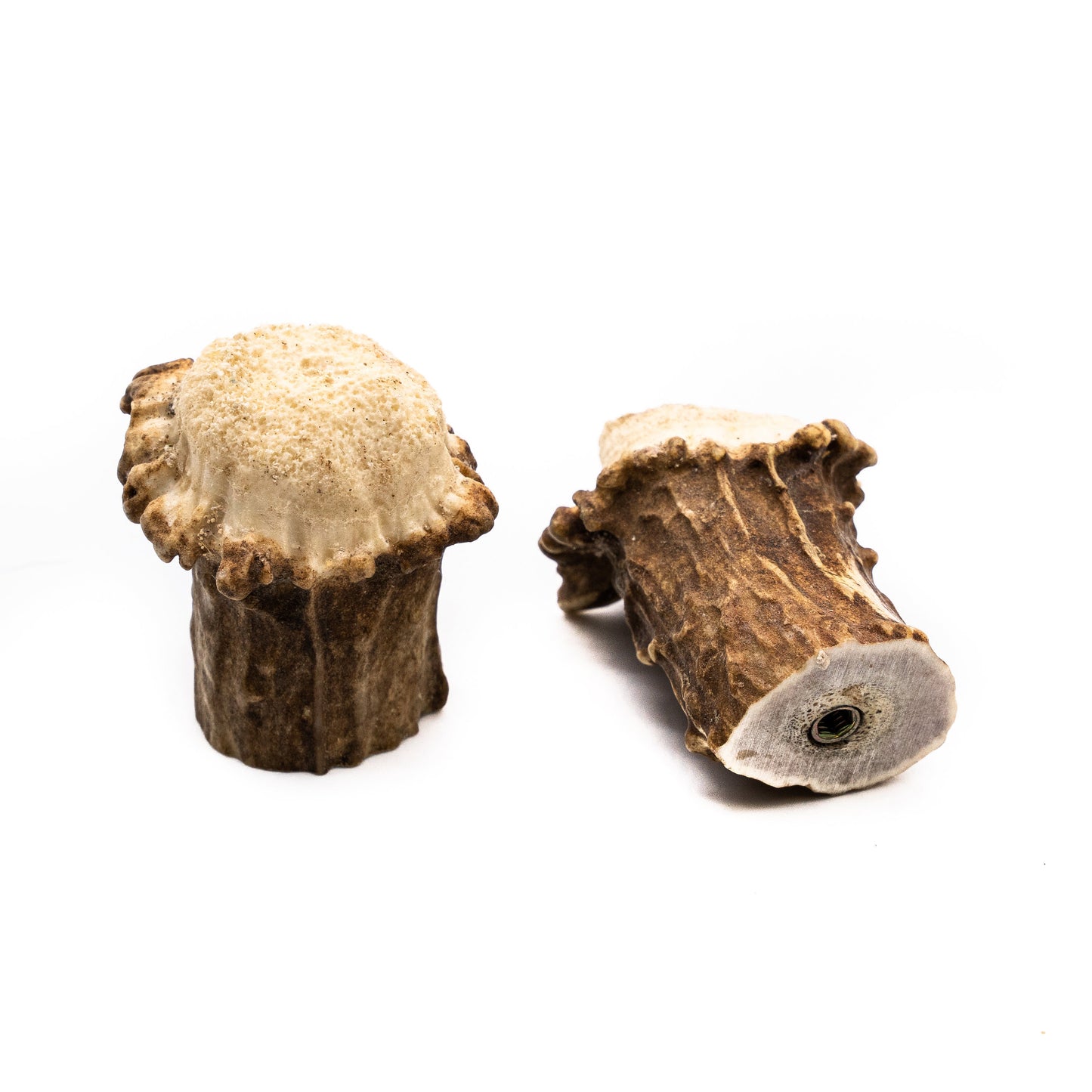Natural Deer Antler Burr Cabinet Knob - Antler Cabinet Knobs - Antler Knobs - Antler Drawer Handles - Antler Knobs