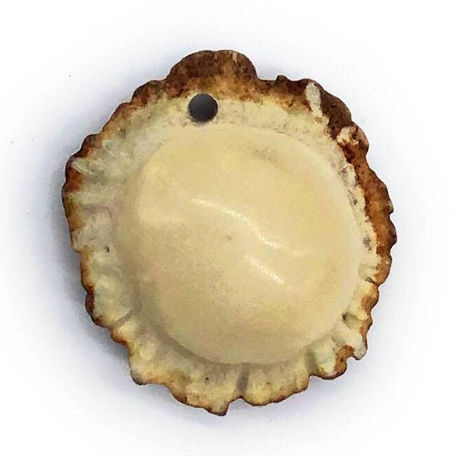 Medium Antler Burr Pendant-All Natural, Grade A, Naturally Shed Antlers from USA
