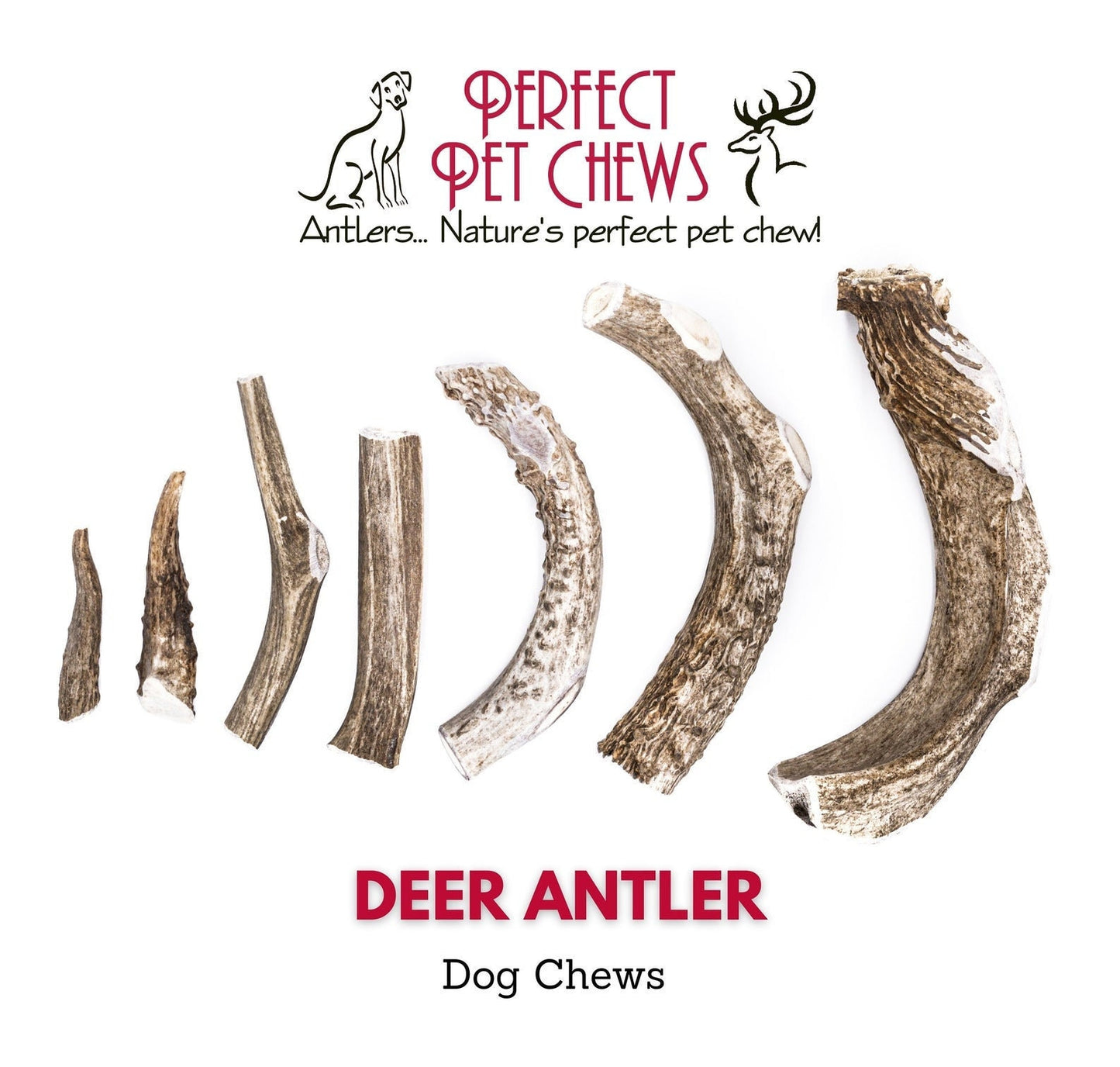 Deer Antler Dog Chews 2 ct- All Natural, Grade A, Premium Antler Dog Treats, Organic Dog Chews, Naturally Shed Antlers from USA