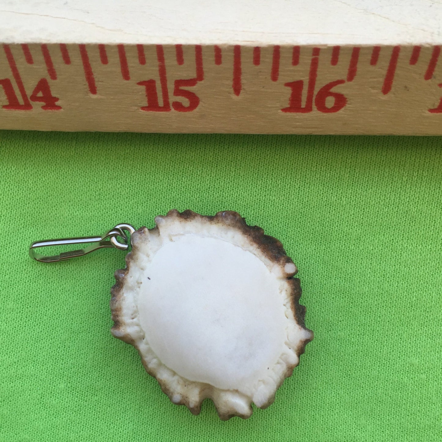 Zipper Pull - Antler Burr (Antler for Craft)