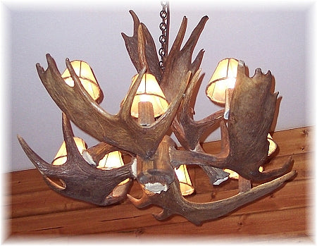 6 Antler, 8 Light Medium Moose Chandelier