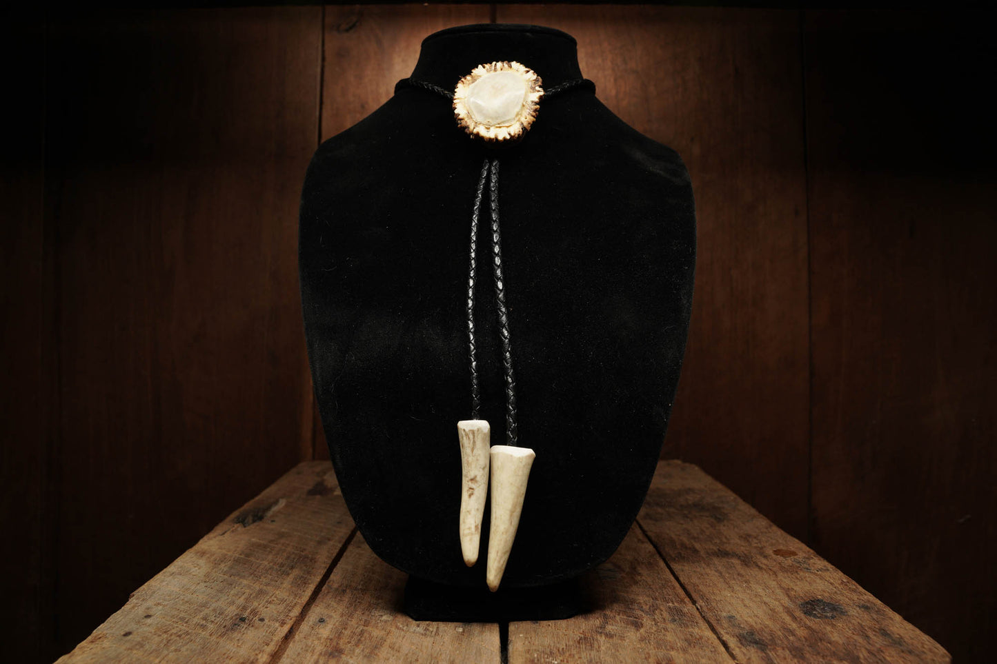 Large Polished Burr Bolo w/ antler tips