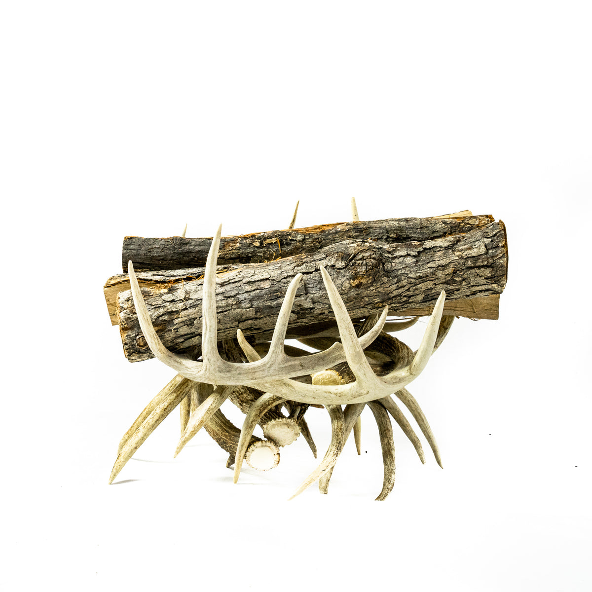 Whitetail Antler Log Holder