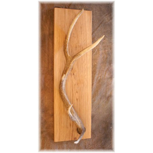 Elk Antler Coat-Hat Rack – Crooked Creek Antler Art