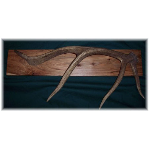 Elk antler coat discount rack