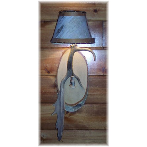 Fallow Deer Antler Sconce