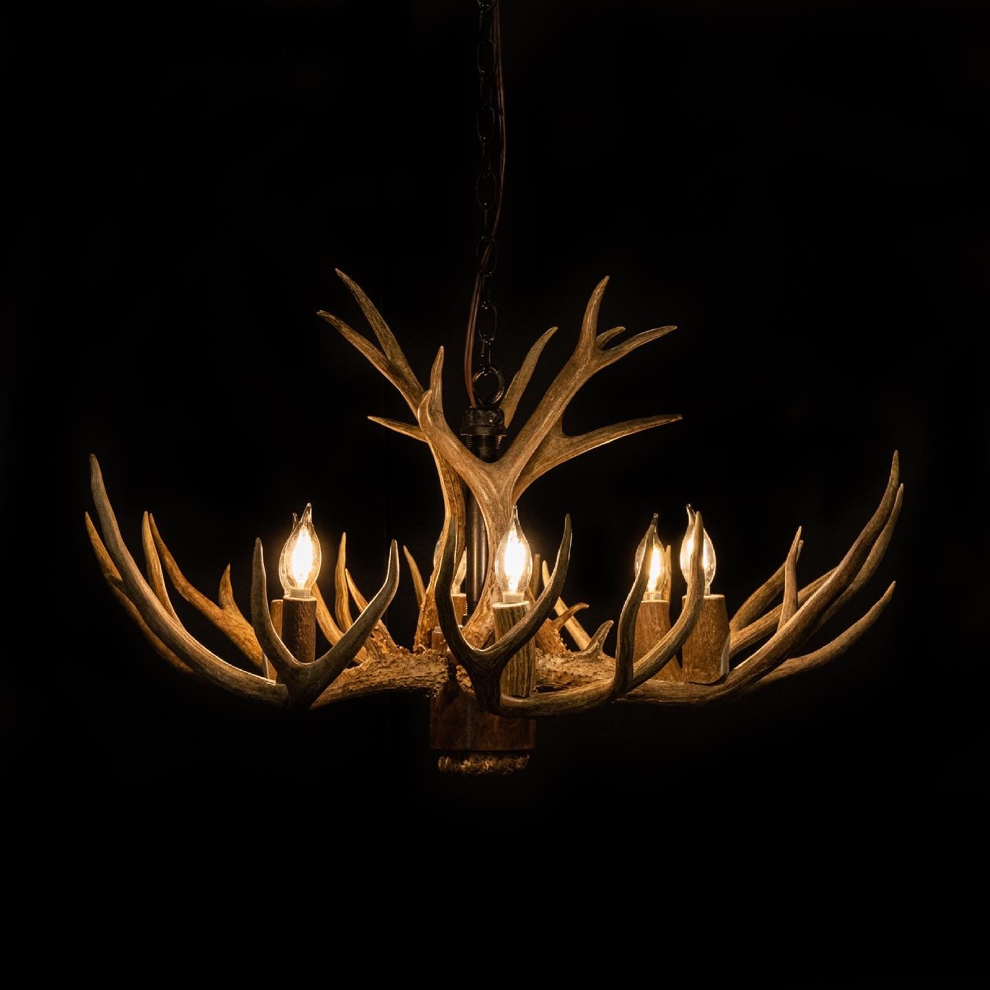 9 Antler, 6 Light Mule Deer Antler Chandelier