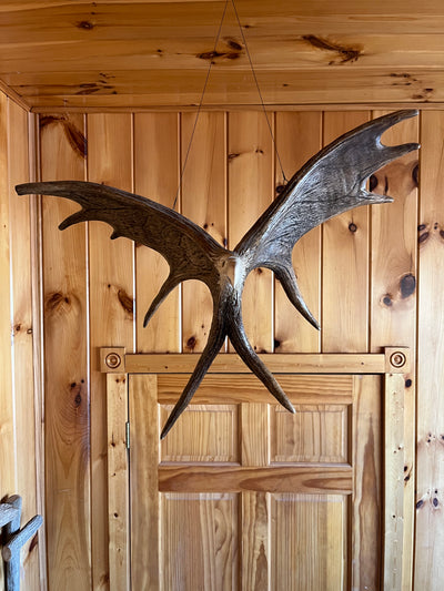 Moose Antler hanging eagle carving