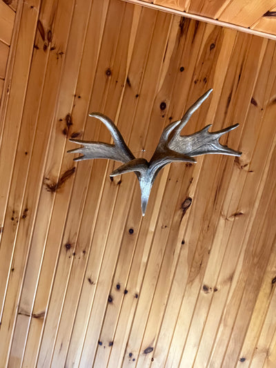 Moose Antler hanging eagle carving