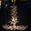 28 Antler, 12 Light Deluxe Cascading Mule Deer Antler Chandelier