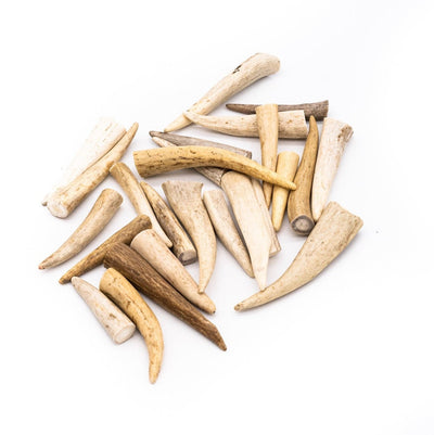 Deer Antler Craft Tips (2" - 4" Length) Antler For Crafts - Antler For Jewelry Making - Antler For Necklaces - Antler For Earrings