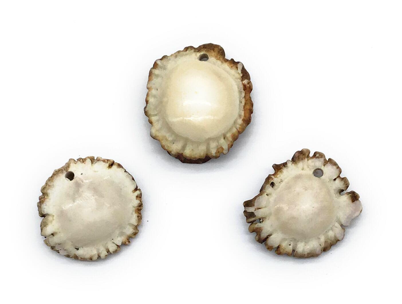 Large Antler Burr Pendant