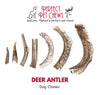 Deer Antler Dog Chew - All Natural, Grade A, Premium Antler Dog Treats, Organic Dog Chews, Naturally Shed Antlers from USA