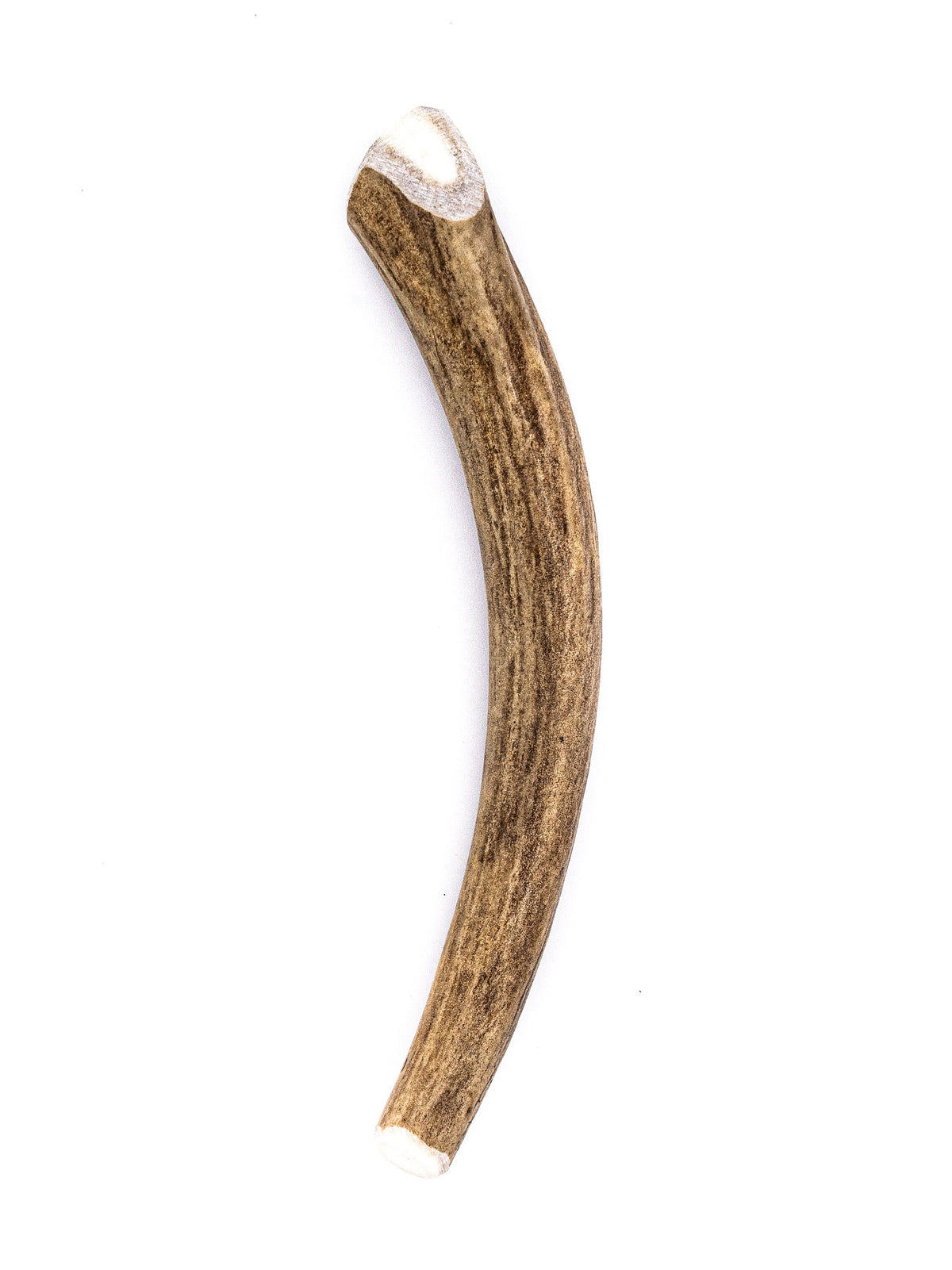 Deer Antler Dog Chew - All Natural, Grade A, Premium Antler Dog Treats, Organic Dog Chews, Naturally Shed Antlers from USA