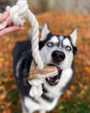 Large Elk Antler Split Rope Toy - All Natural, Grade A, Premium Antler Dog Treats, Organic Dog Chews, Naturally Shed Antlers from USA
