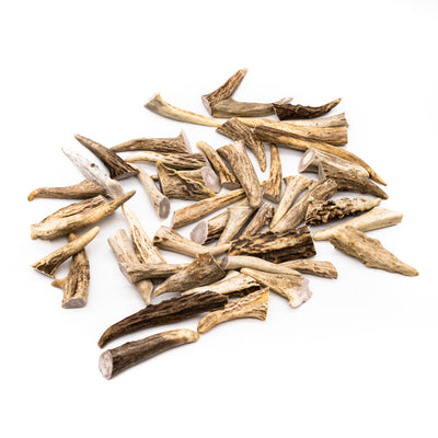 Deer Antler Brow Tines - For Antler Arts and Crafts - Antler Jewelry - Brow Tines for Crafting