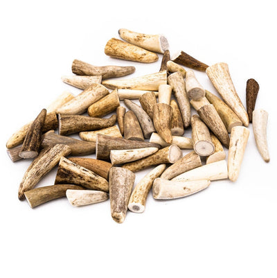 Elk Antler Craft Tips (0.75" - 2" Length) Antler For Crafts - Antler For Jewelry Making - Antler For Necklaces - Antler For Earrings