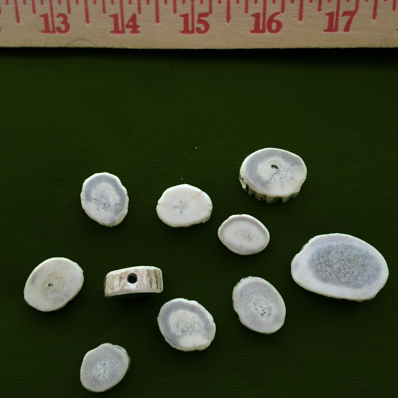 Flat Antler Beads for Crafting - 10 ct