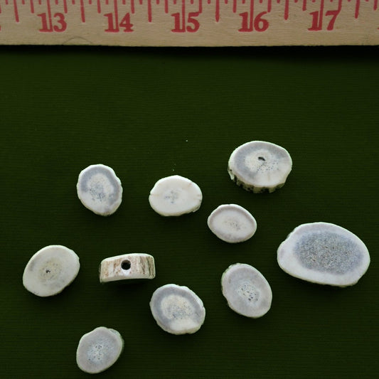 Flat Antler Beads for Crafting - 10 ct