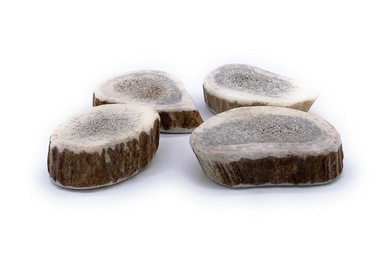 Perfect Pet Chew: Canine Cookies 4 ct.-All Natural, Grade A, Premium Antler Dog Treats, Organic Dog Chews, Naturally Shed Antlers from USA