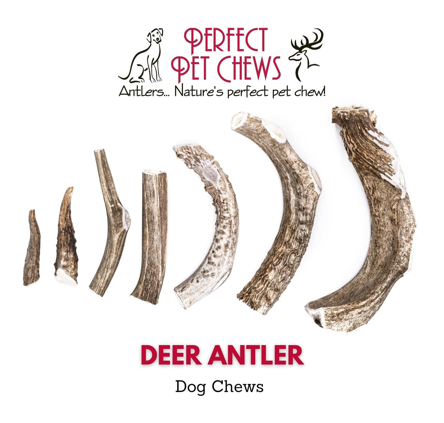 Large Deer Antler-All Natural, Grade A, Premium Antler Dog Treats, Organic Dog Chews, Naturally Shed Antlers from USA