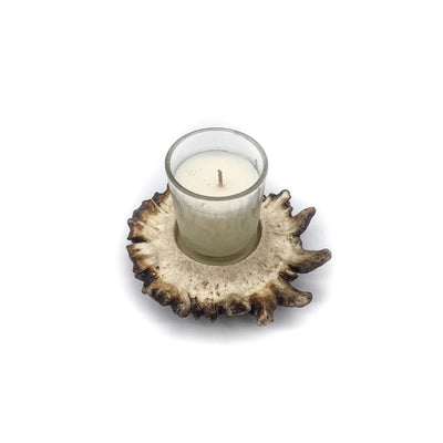 Natural Antler Burr Candle Holder