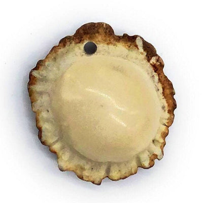 Medium Antler Burr Pendant-All Natural, Grade A, Naturally Shed Antlers from USA
