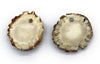Medium Antler Burr Pendant-All Natural, Grade A, Naturally Shed Antlers from USA