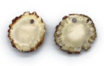 Medium Antler Burr Pendant-All Natural, Grade A, Naturally Shed Antlers from USA