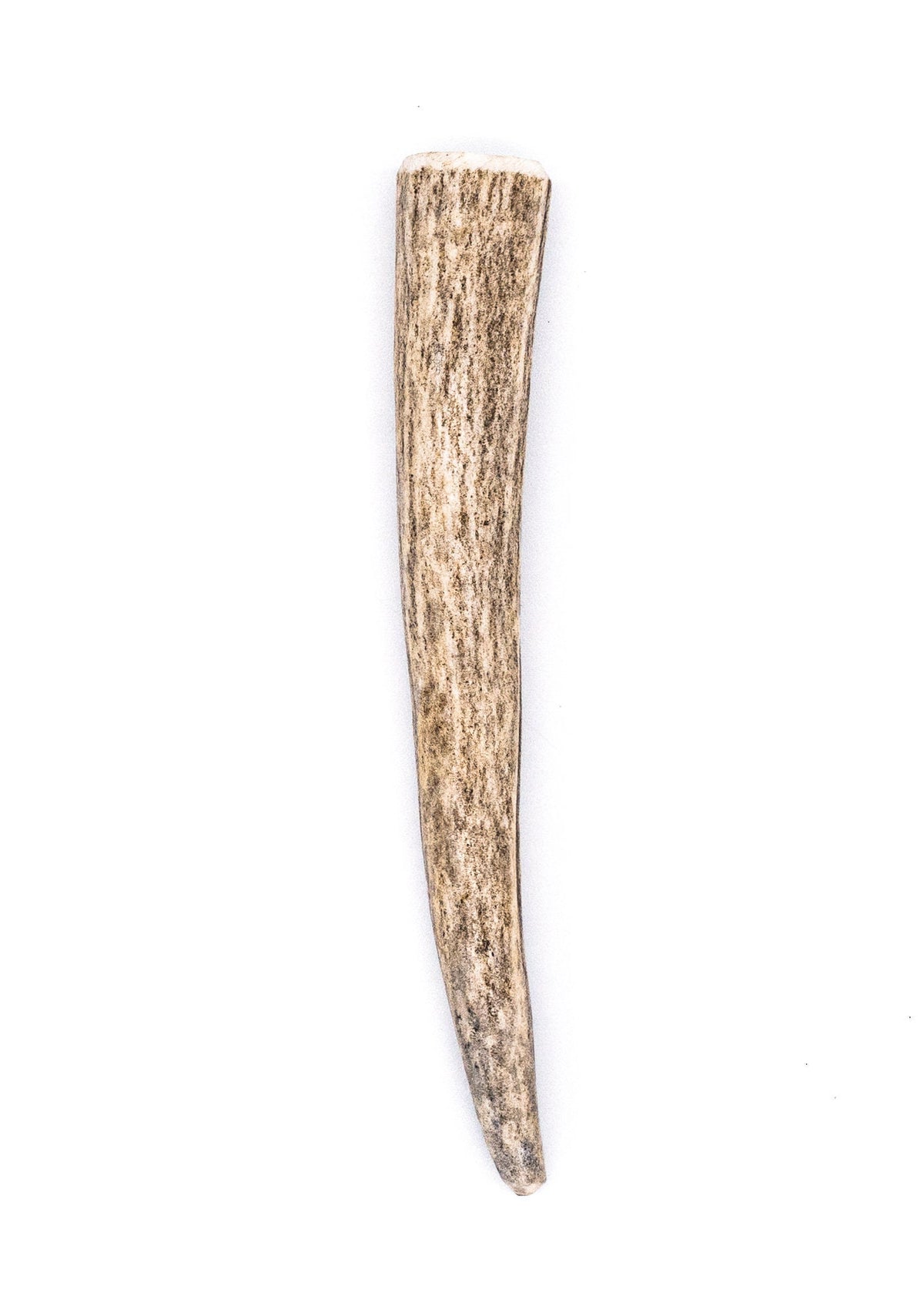 Deer Antler Dog Chews 2 ct- All Natural, Grade A, Premium Antler Dog Treats, Organic Dog Chews, Naturally Shed Antlers from USA