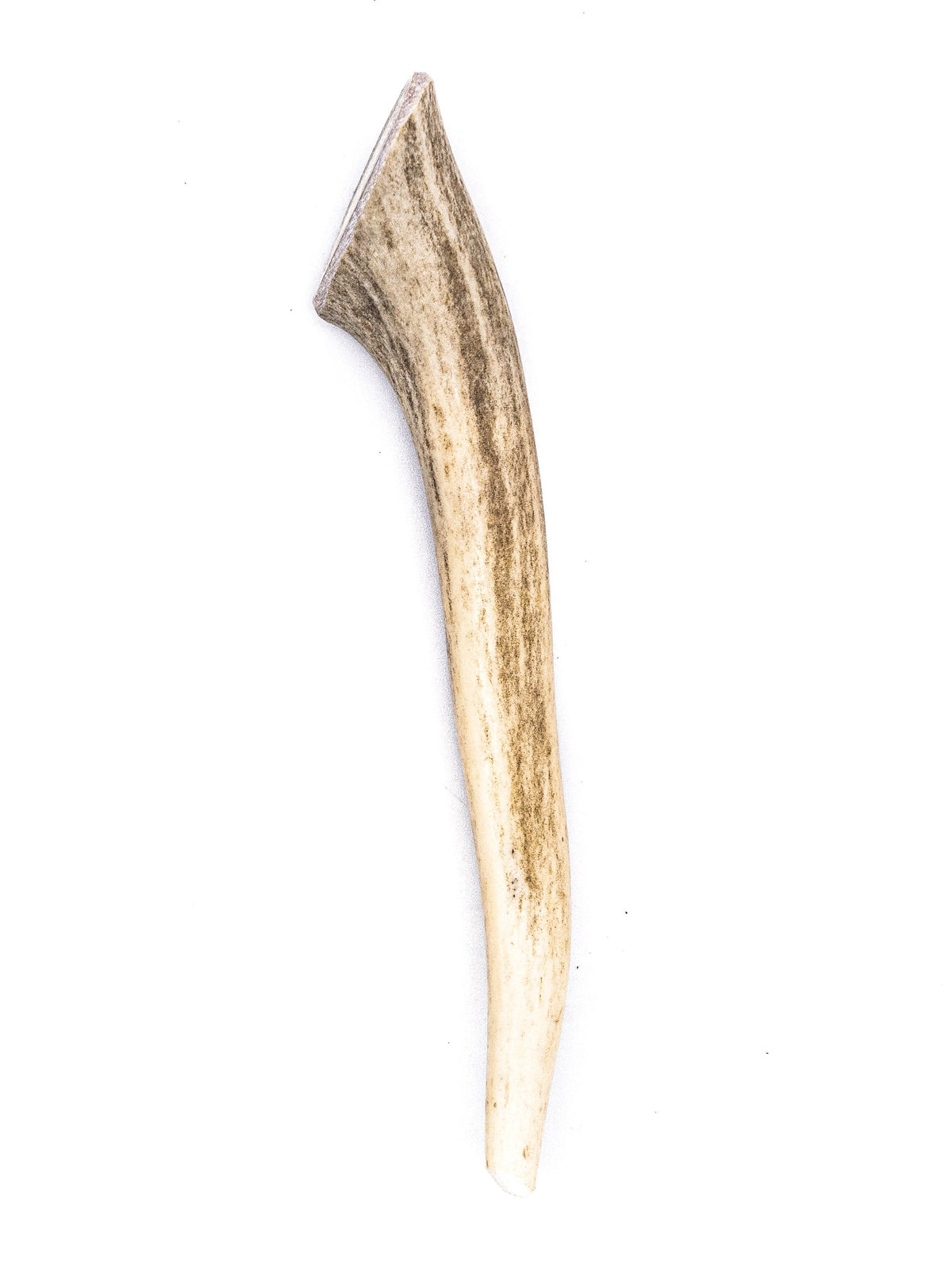 Deer Antler Dog Chews 2 ct- All Natural, Grade A, Premium Antler Dog Treats, Organic Dog Chews, Naturally Shed Antlers from USA