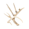 Deer Antler Ring/Jewelry Holder - Antler Jewelry Holder - Antler Ring Stand