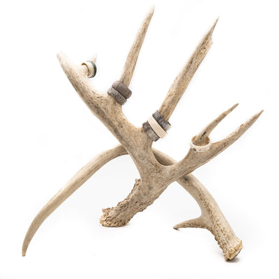 Deer Antler Ring/Jewelry Holder - Antler Jewelry Holder - Antler Ring Stand