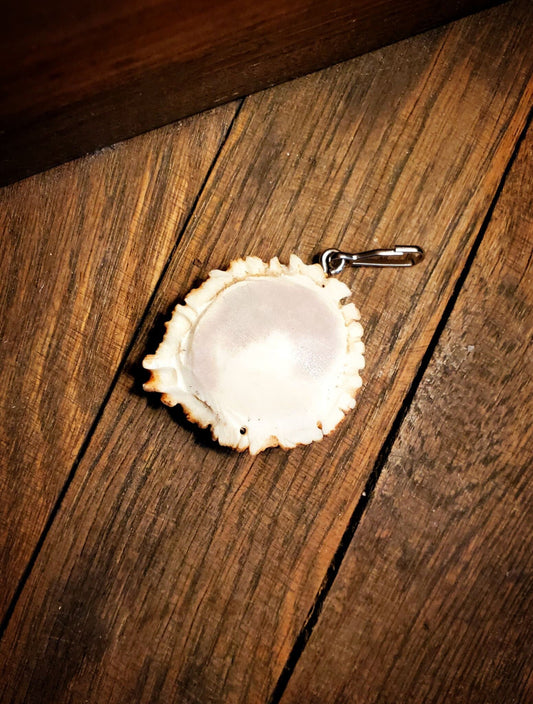 Zipper Pull - Antler Burr (Antler for Craft)