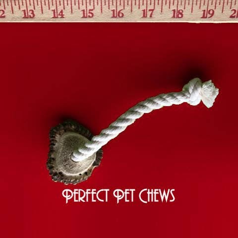 Medium Rope Toy with Elk Burr-All Natural, Grade A, Premium Antler Dog Treats, Organic Dog Chews, Naturally Shed Antlers from USA