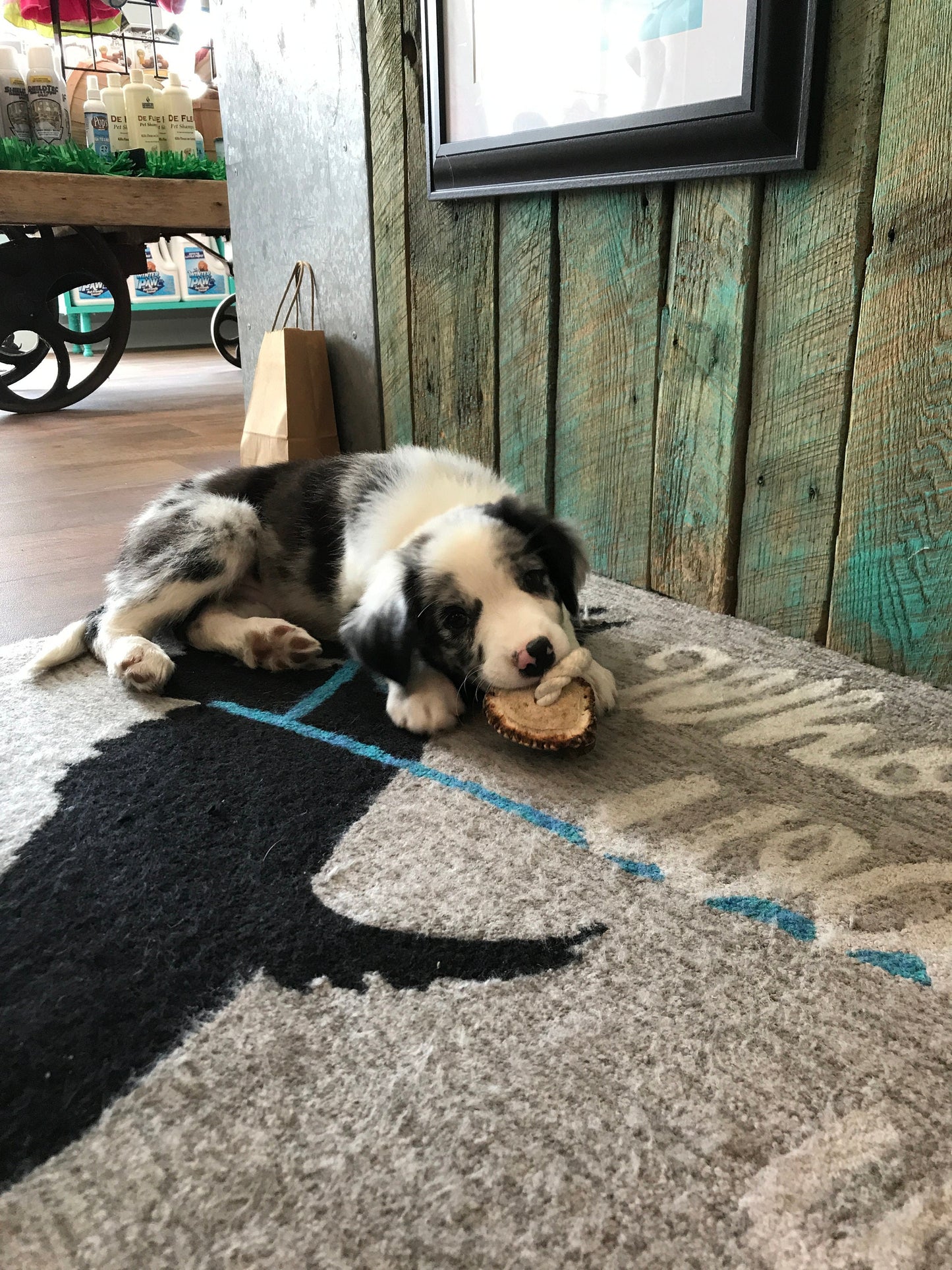 Elk Antler Rope Dog Toy X-Large | Split Antler All Natural Grade A Premium Antler Dog Treats Organic Dog Chews Shed Antlers from USA