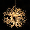 Real Deer Antler Tumbleweed Chandelier with 14 Lights