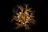 Real Deer Antler Tumbleweed Chandelier with 14 Lights