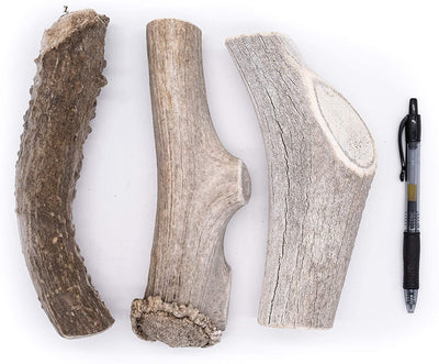 Economy Elk/Deer Antler Dog Chew 3 Count - Grade B/C All Natural Organic and Long Lasting Treats Made from Naturally Shed Antlers in The USA