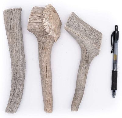 Economy Elk/Deer Antler Dog Chew 3 Count - Grade B/C All Natural Organic and Long Lasting Treats Made from Naturally Shed Antlers in The USA