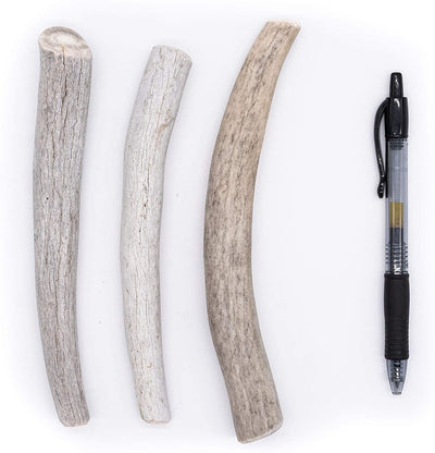 Economy Elk/Deer Antler Dog Chew 3 Count - Grade B/C All Natural Organic and Long Lasting Treats Made from Naturally Shed Antlers in The USA