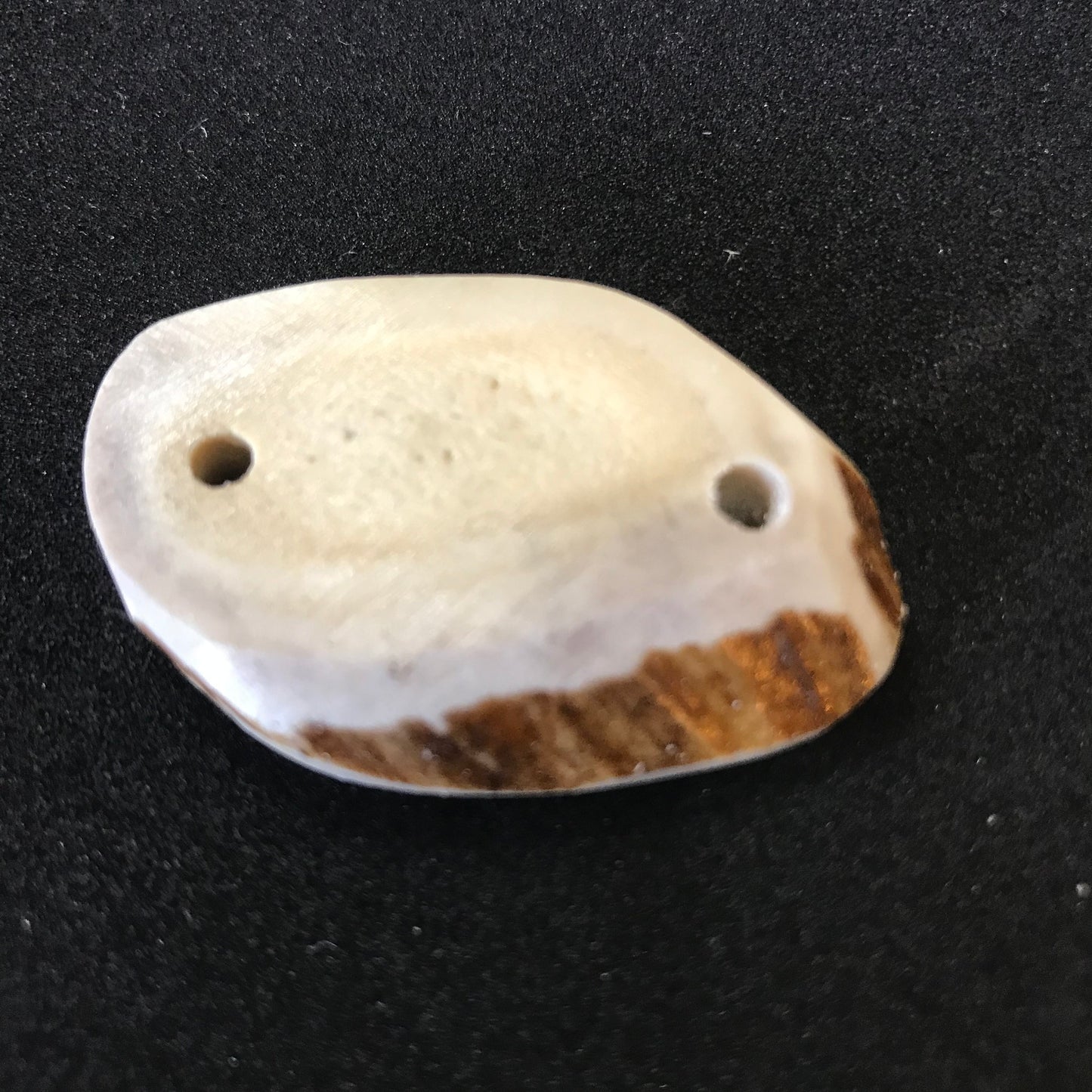 Flat Antler Bracelet Link