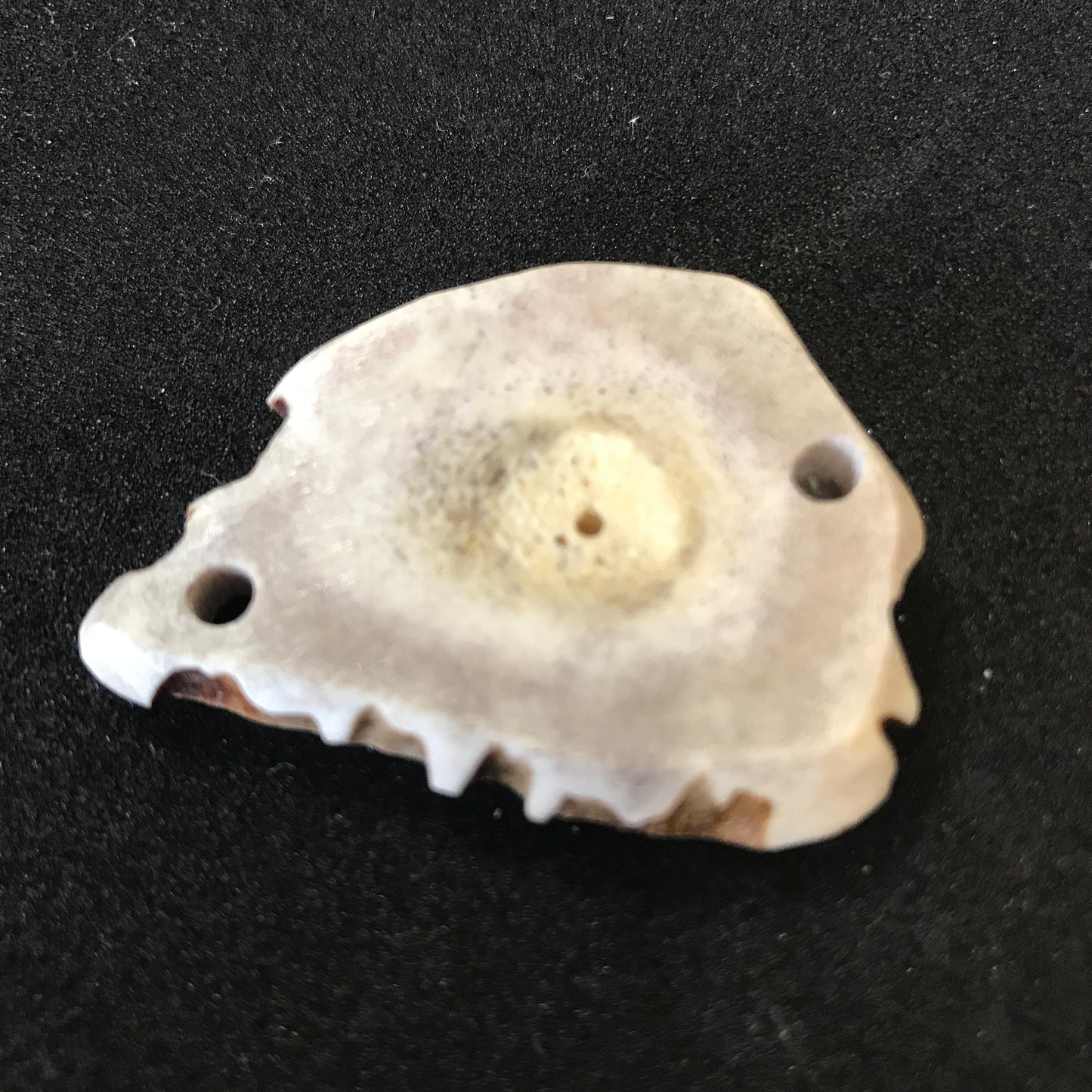 Flat Antler Bracelet Link