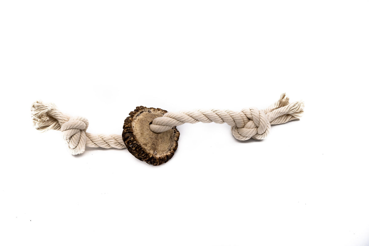 Large Rope Toy with Elk Burr-All Natural, Grade A, Premium Antler Dog Treats, Organic Dog Chews, Naturally Shed Antlers from USA