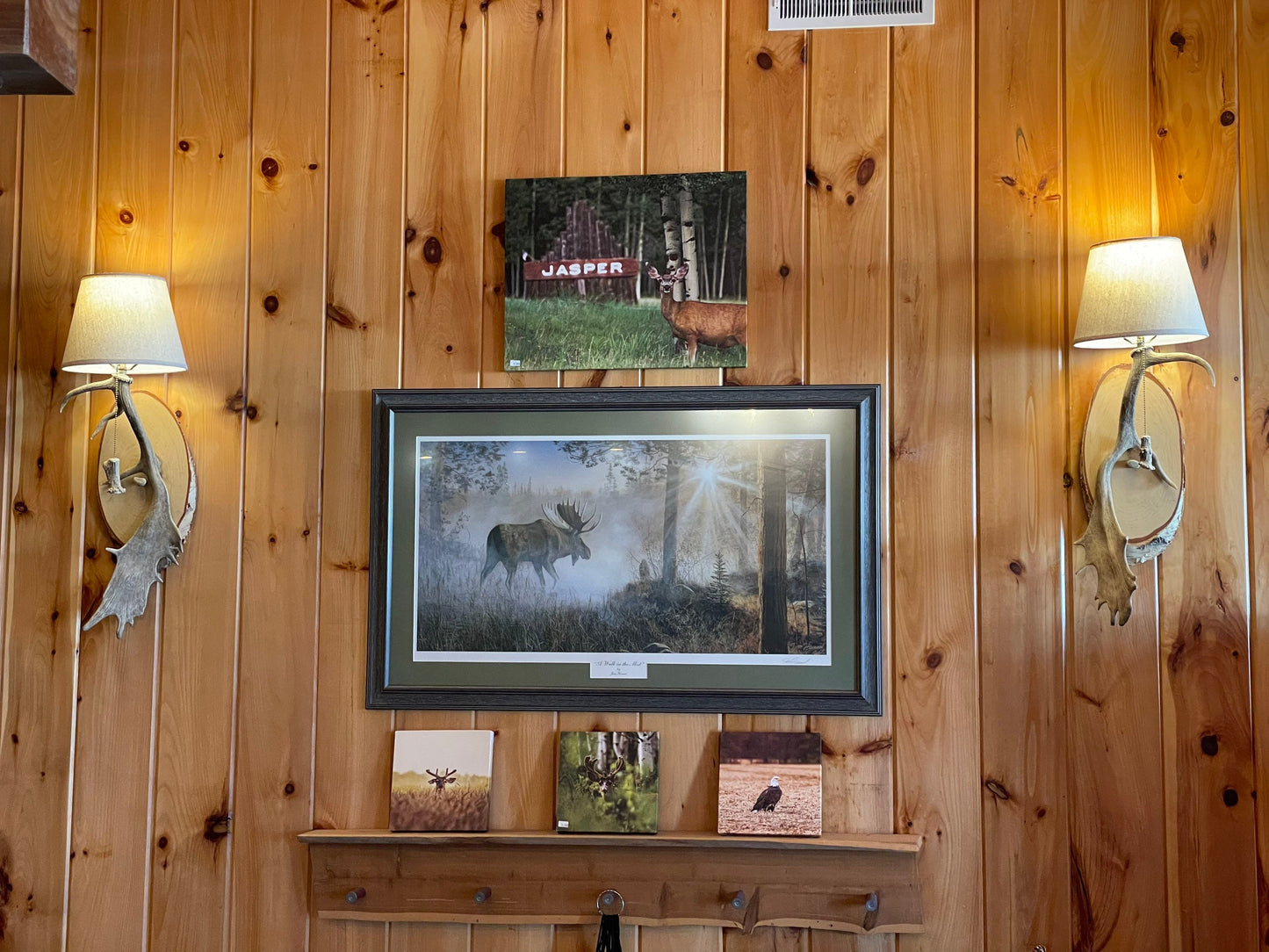 Fallow Deer Antler Sconces - Hardwired Pair with Shades