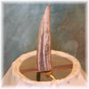 Elk Antler Tip Finial with Brass Insert