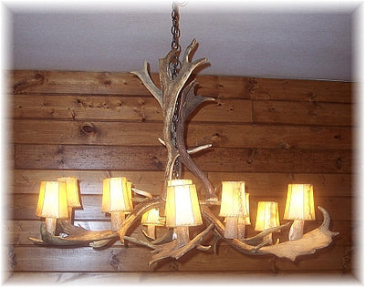 9 Antler, 12 Light Fallow Deer Antler Chandelier