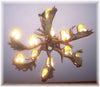 9 Antler, 12 Light Fallow Deer Antler Chandelier